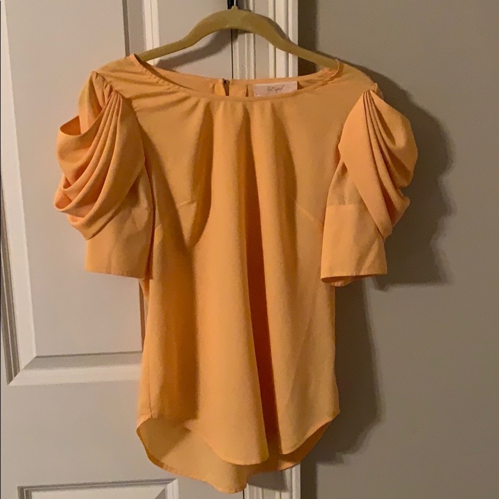 Stylish blouse with fancy sleeves